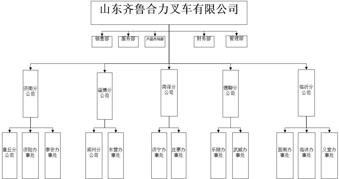 齐鲁尊龙凯时官网组织机构图.jpg